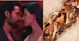 ‘आवारापन 2’ ने मचाया गर्दा! इमरान हाशमी की फिल्म ने छापे करोड़ों, जानें ‘बंटवारा 1947’ का हाल