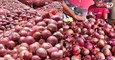 एशिया की सबसे बड़ी प्याज मंडी का हाल, जानिए कितने रुपये किलो बिक रहा Onion