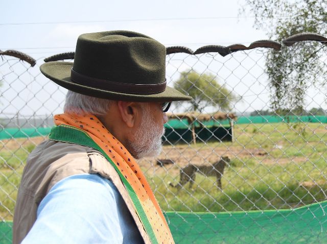 कूनो नेशनल पार्क में PM Modi ने छोड़े चीते, खुद कैमरे में कैद किये ऐतिहासिक लम्हे, देखें Photos