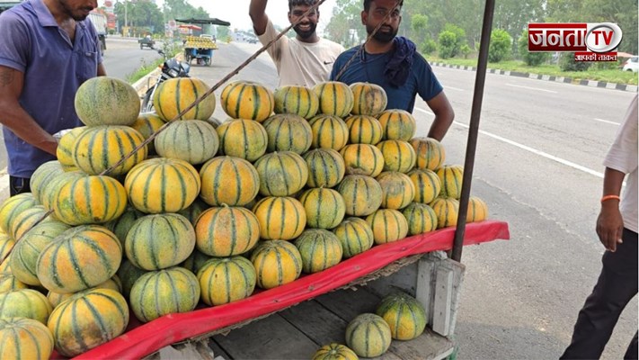 PHOTOS: मिश्री से भी मीठा है यहां का खरबूज, नाम है मधु रस