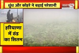  Haryana में ठंड का सितम, नारनौल में 3.5 डिग्री सेल्सियस पंहुचा पारा | Haryana Weather | Janta TV