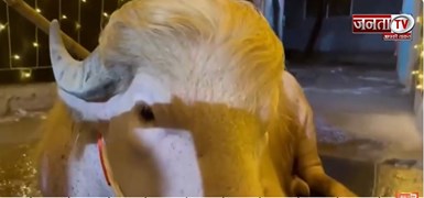 Eid की 'कुर्बानी' से पहले 'डोनाल्ड ट्रंप' नाम की भैंस को देखने के लिए उमड़ी भीड़ | Janta Tv