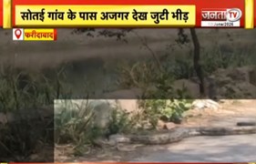  Faridabad में दिखा अजगर | 12 फुट लंबे अजगर को देख मची दहशत | Janta Tv
